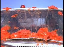 attackofthekillertomatoes10