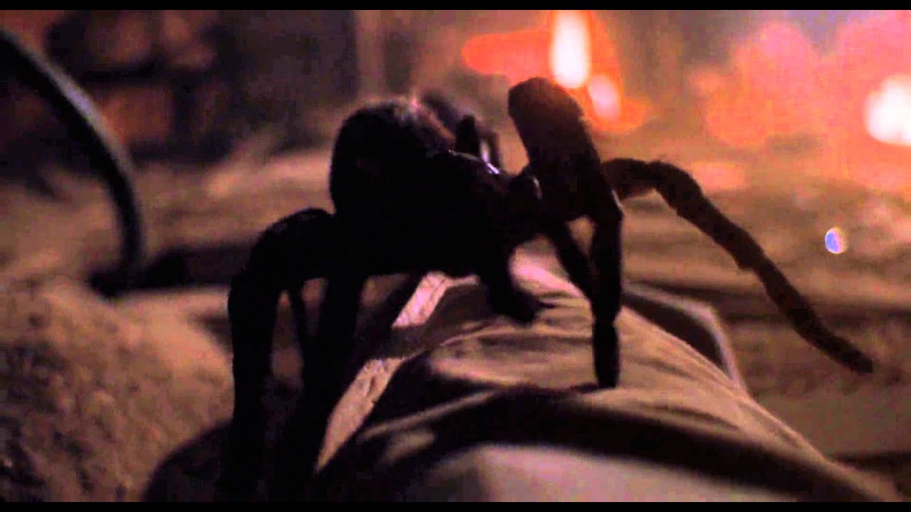 arachnophobia02
